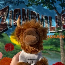 Zion took a stroll through the village yesterday!