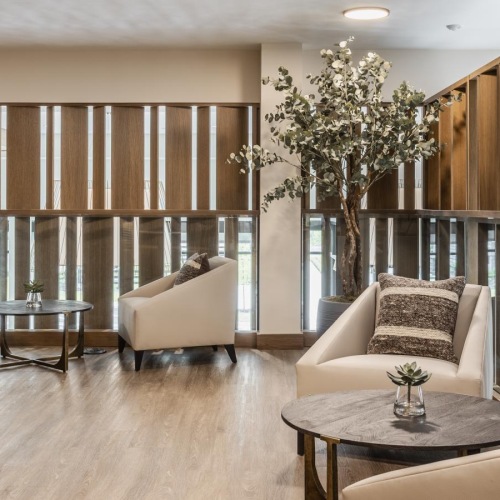 a room with a couch and a table with a tree in it